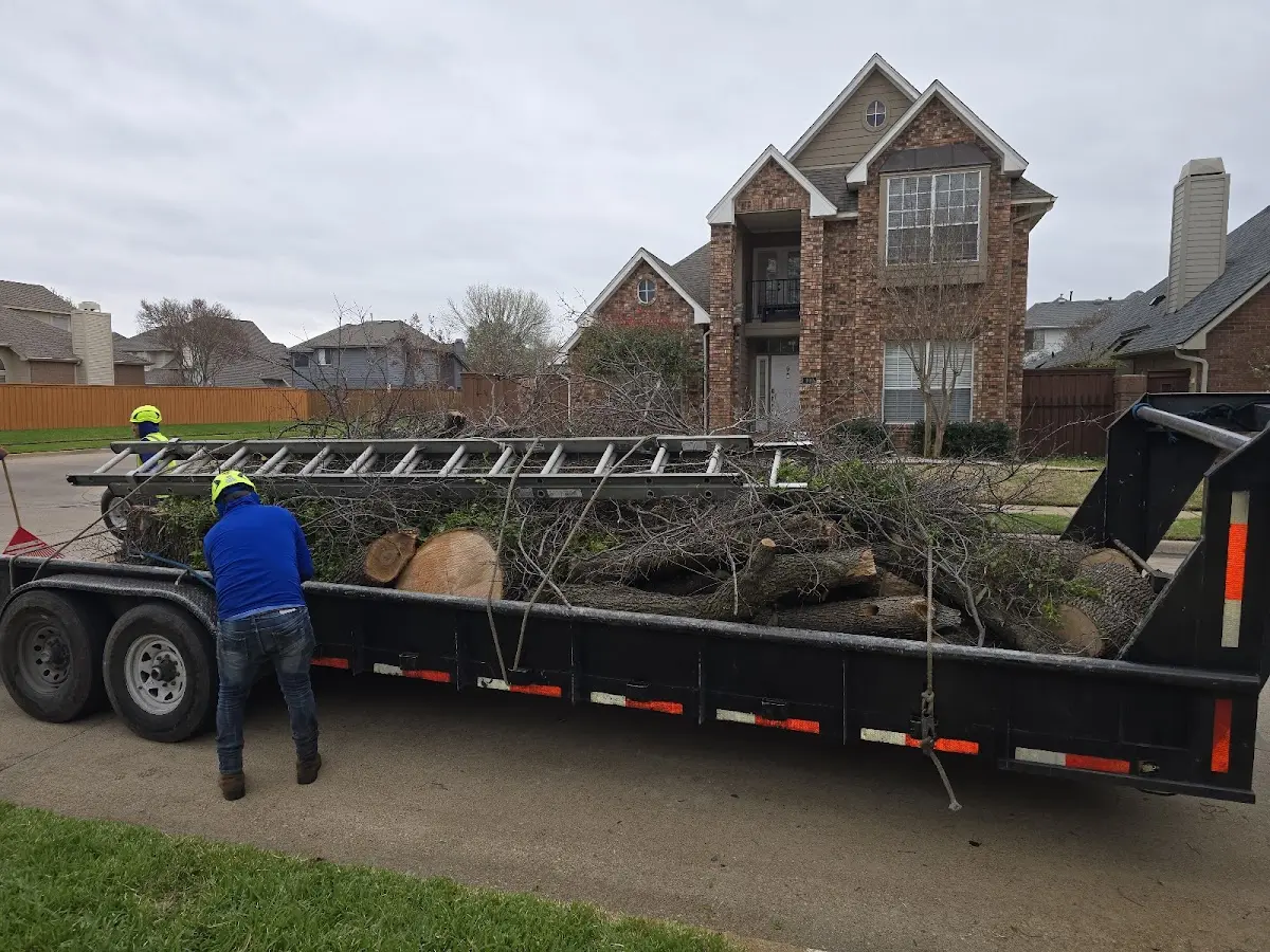 Expert Tree Removal with proper safety equipment in Mackinaw